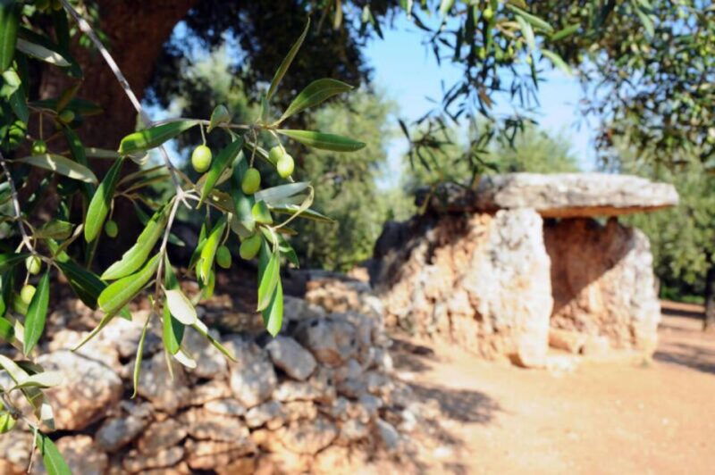 ostuni-e-bike-tour-the-olive-trees-and-a-local-oil-mill