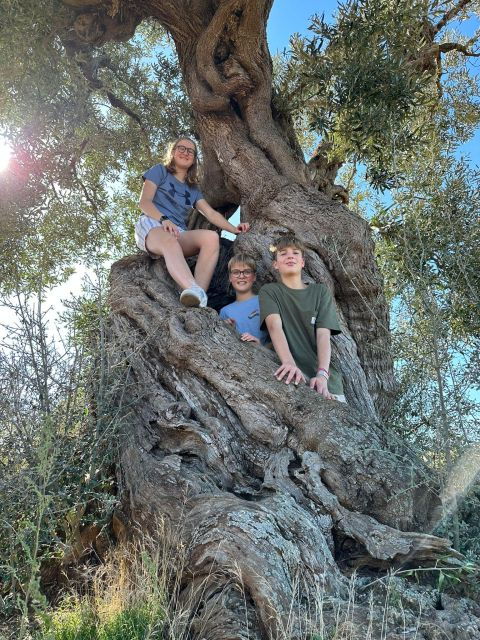 ostuni-e-bike-tour-the-olive-trees-and-a-local-oil-mill