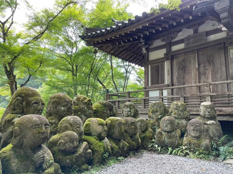 Otagi Nenbutsu-ji & Arashiyama Bamboo Forest Walking Tour - A Deep Dive Into the Tour Experience