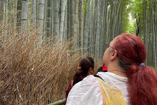 otagi-nenbutsu-temple-and-arashiyama-bamboo-forest-tour