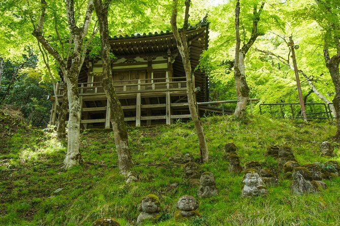 otagi-nenbutsu-temple-and-arashiyama-bamboo-forest-tour