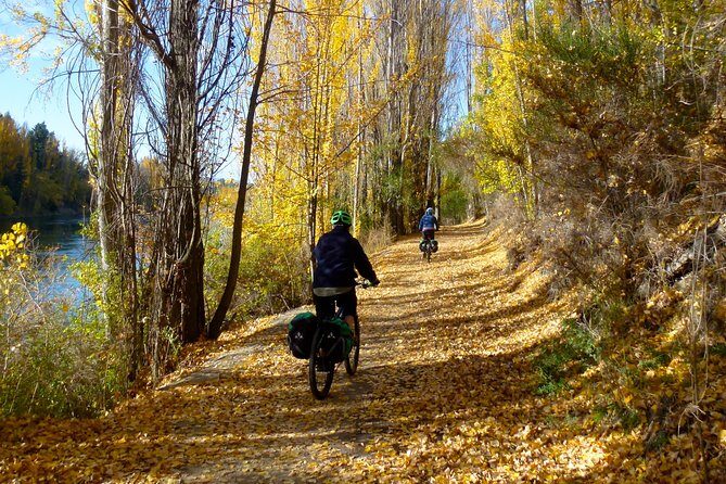 Otago Central Rail Trail One Day Wonder Cycle tour - Who Is This Tour Best Suited For?