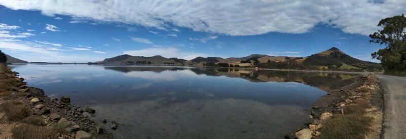 Otago Peninsula Scenery & Little Blue Penguin tour - Practical Details & Value