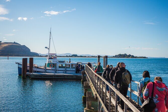 Otago Peninsula Wildlife Cruise with Monarch - An in-depth look at the Otago Peninsula Wildlife Cruise