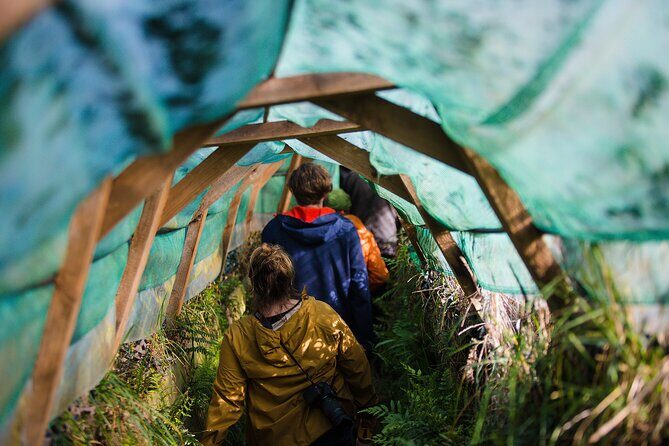 Otago Peninsula Wildlife Tour & Cruise - Key Points  