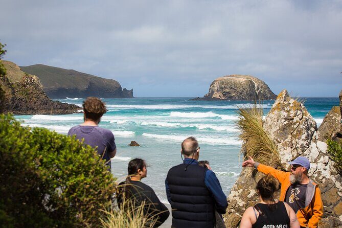 Otago Peninsula Wildlife Tour & Cruise - A Day Filled With Wildlife and Scenic Beauty  