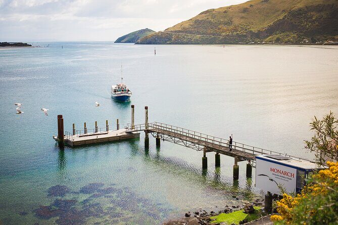Otago Peninsula Wildlife Tour & Cruise - FAQs  
