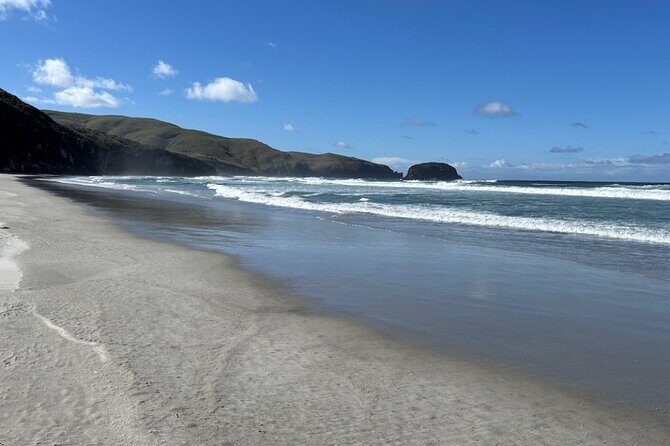 Otago Peninsula's Hidden Gems: A Self Guided Driving Tour - Glenfalloch Gardens: A Floral Sanctuary