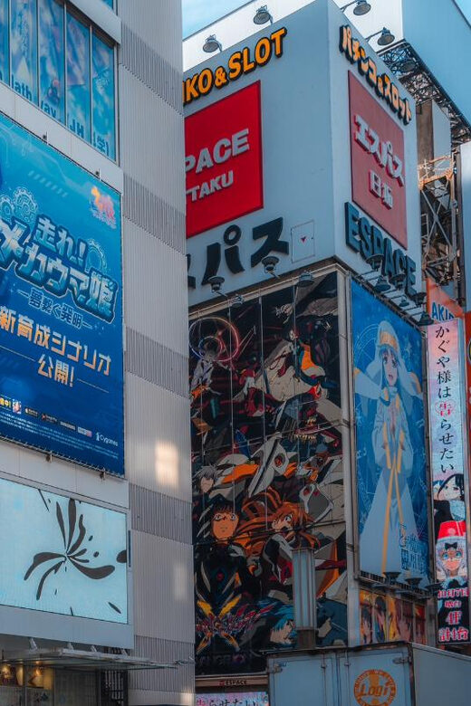 Otaku Tokyo Tour: Akihabara and Nakano Broadway - Who Should Take This Tour?