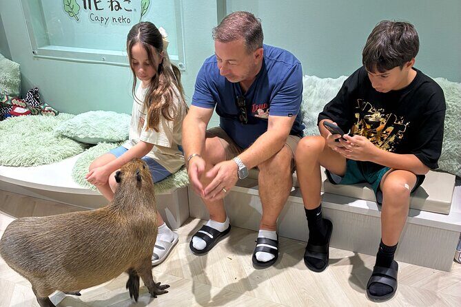 Otaku Tour in Akihabara - Why This Tour Offers Great Value