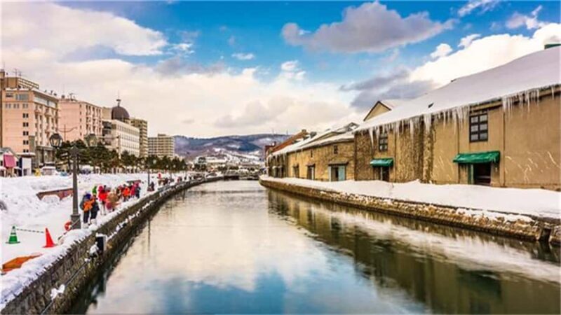 Otaru: Guided Walking Tour with Canal Custom Private Day - A Detailed Look at the Otaru Private Tour