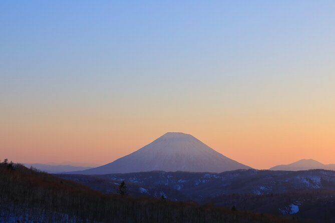 Otaru, Hokkaido Fuji Cherry Blossom Bus Tour  Sapporo 1Day - Analyzing the Value