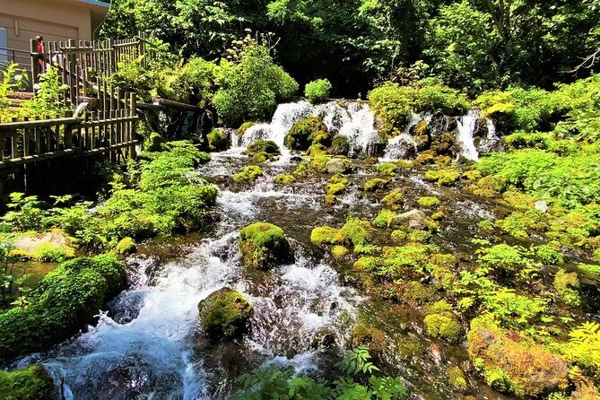 Otaru, Hokkaido Fuji Cherry Blossom Bus Tour  Sapporo 1Day - The Sum Up