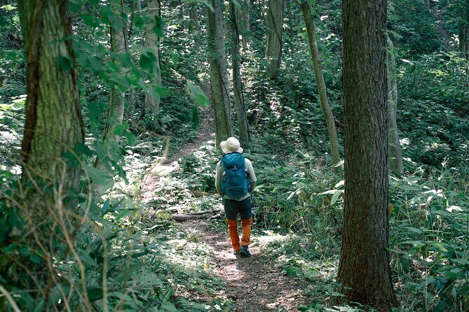 Otarus Old Fishing Village Nature and History Short Trekking Tour - Key Points