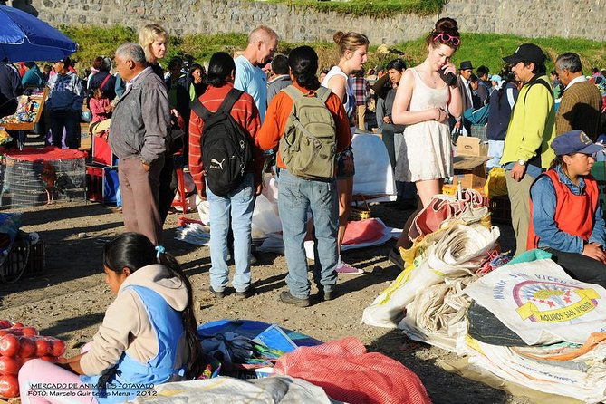 otavalo-market-private-sightseeing-and-surroundings