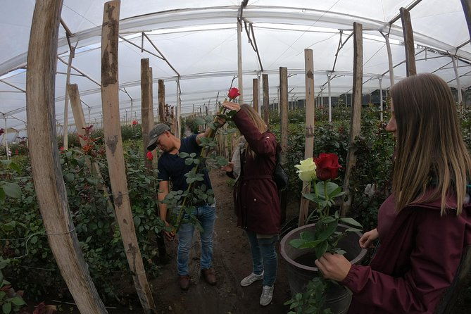 otavalo-the-biggest-market-in-south-america