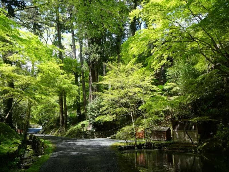 Otsu: Ishiyama-dera: Sacred Stone Temple by Lake Biwa - Key Points