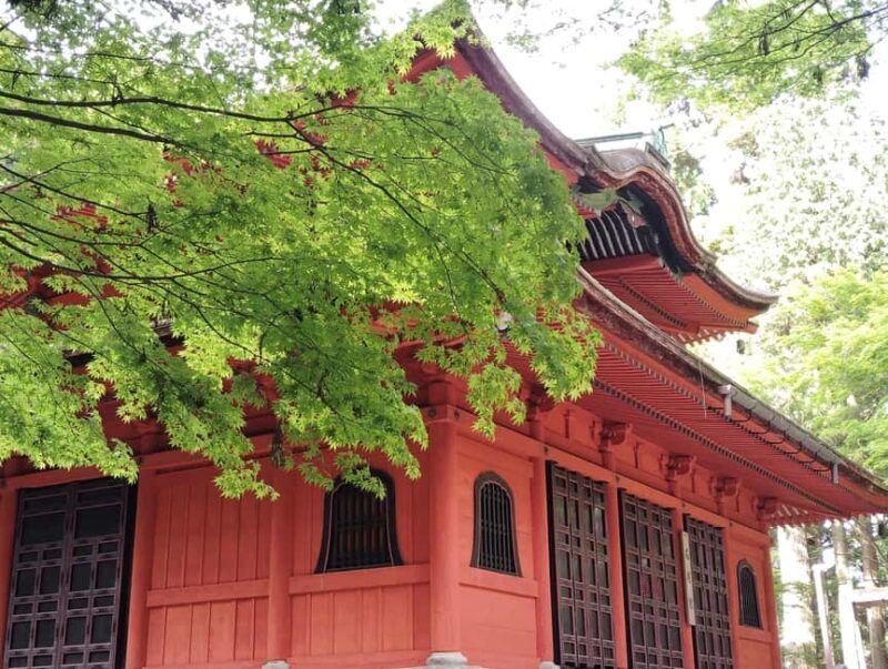 Otsu: Miidera Temple with the Spirit of Mount Hiei - Key Points