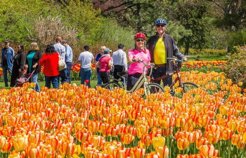 ottawa-2-or-3-5-hour-guided-bike-tour-with-a-local-guide