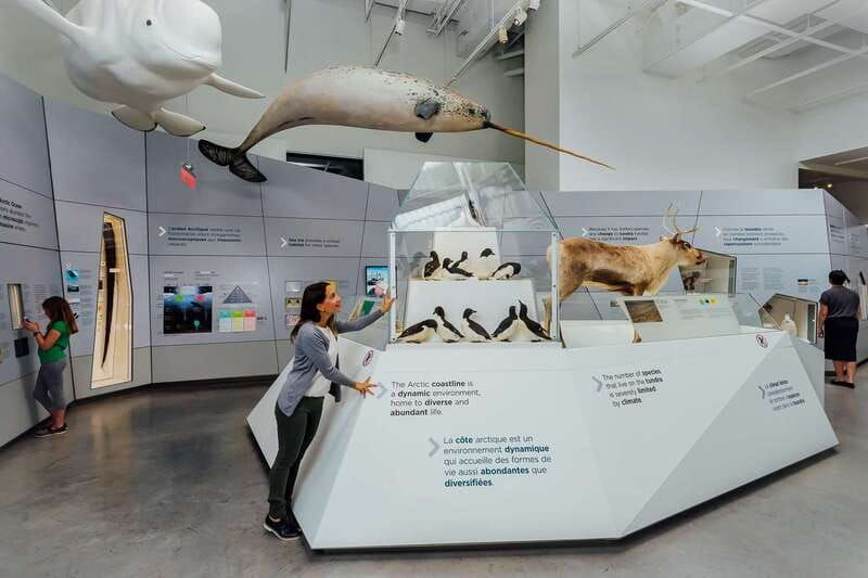 ottawa-canadian-museum-of-nature-admission