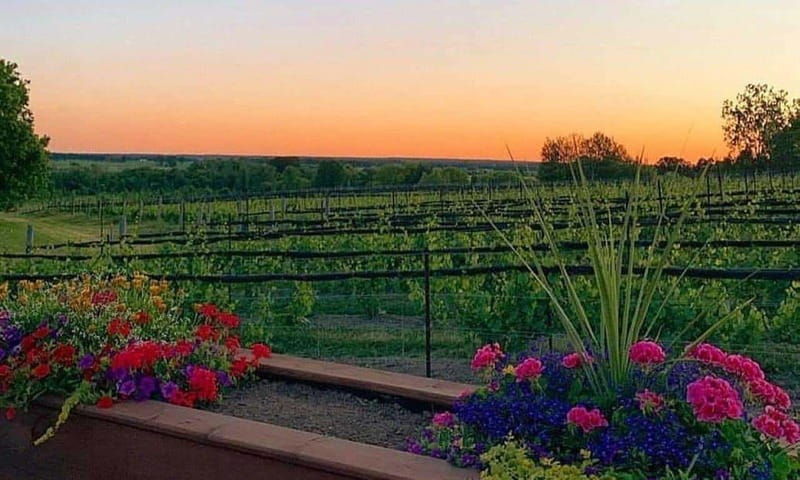 ottawa-local-wine-and-cider-tour