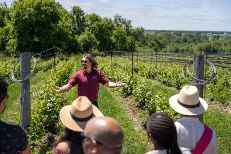 ottawa-local-wine-and-cider-tour