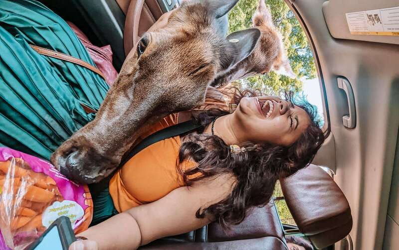 ottawa-private-wildlife-adventure-safari-in-parc-omega