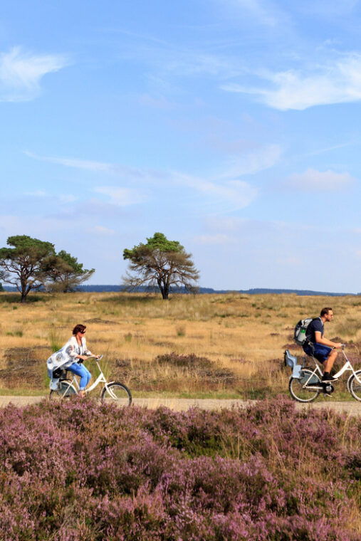 otterlo-de-hoge-veluwe-national-park-entry-ticket
