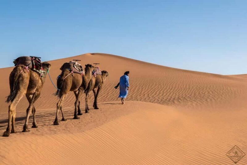 Ouarzazate: 2-Day Chegaga Desert Tour with Camel Ride - Key Points
