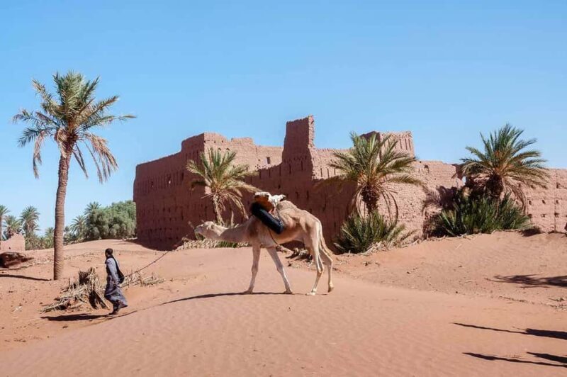Ouarzazate: 2-Day Chegaga Desert Tour with Camel Ride - An In-Depth Look at the 2-Day Chegaga Desert Tour