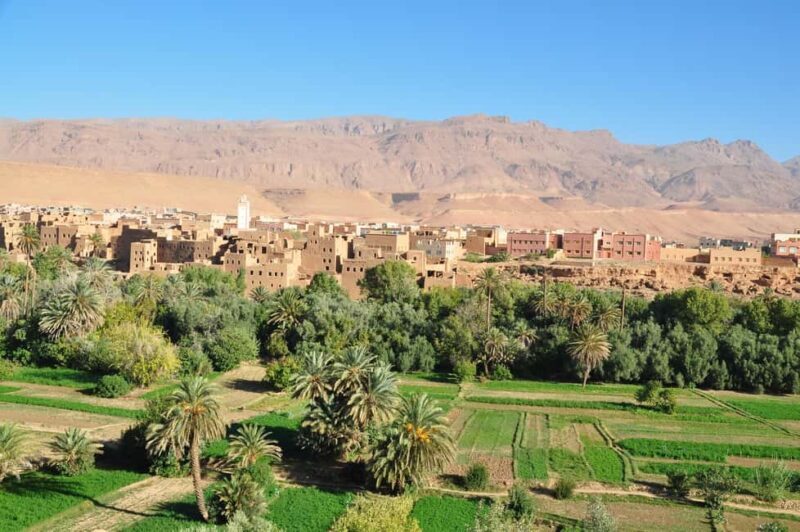 Ouarzazate: Aït Ben Haddu, Fint Oasis and Atlas Studios Trip - A Closer Look at the Itinerary