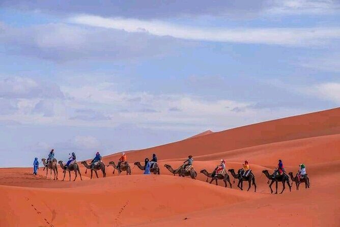 Ouarzazate - Desert - Fes 5 days 4 nights - An In-Depth Look at the Tour
