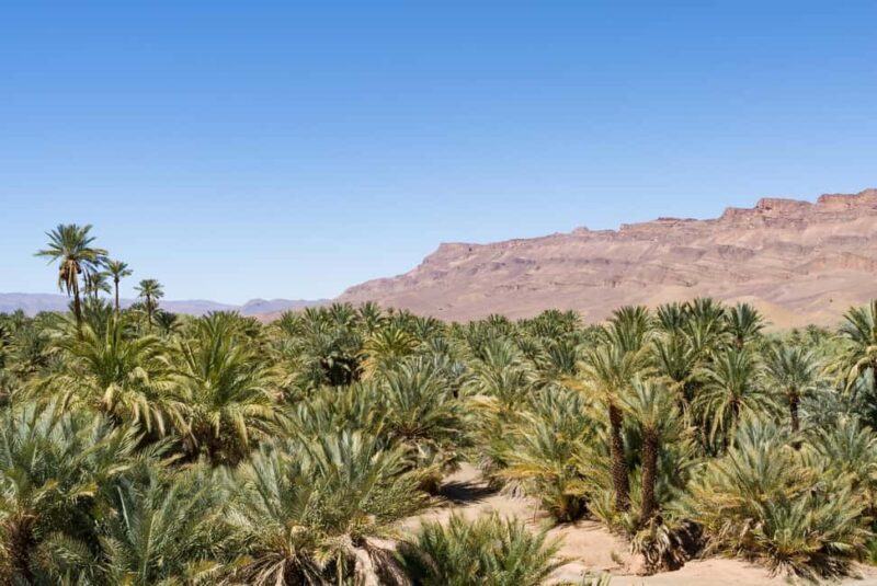 Ouarzazate: Kasbah, Valleys & Erg Lihoudi Desert Trip 2 days - FAQ