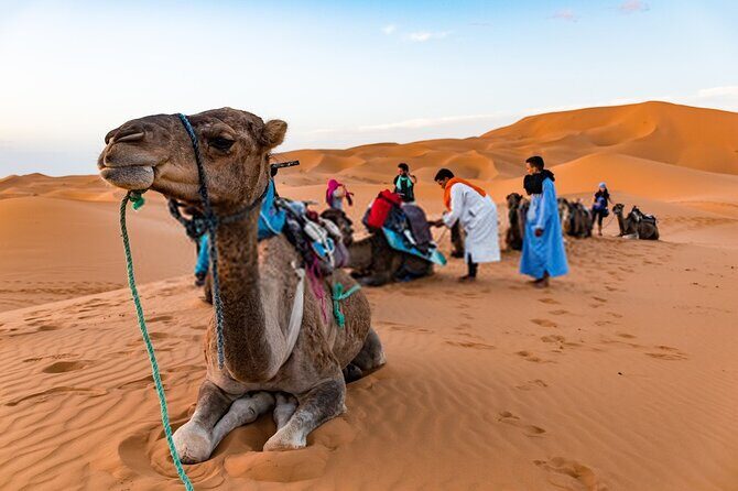 Ouarzazate To Erg Chegaga Dunes & Camel treks in 2 Days - Key Points
