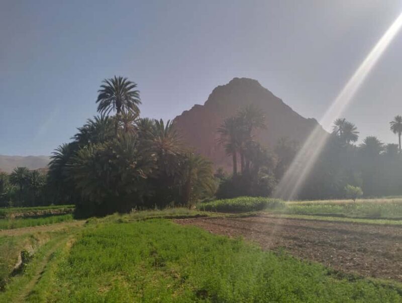 Ouarzazate to Marrakech: 3-Days Merzouga Desert Tour - What’s Included and What’s Not