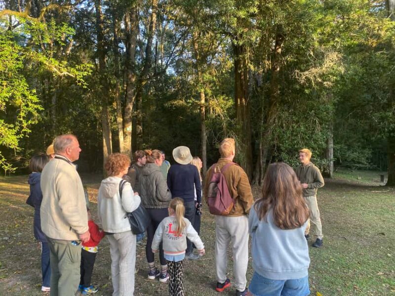 Oudtshoorn: Birding Adventure with Breakfast - An In-Depth Look at the Oudtshoorn Birding Adventure