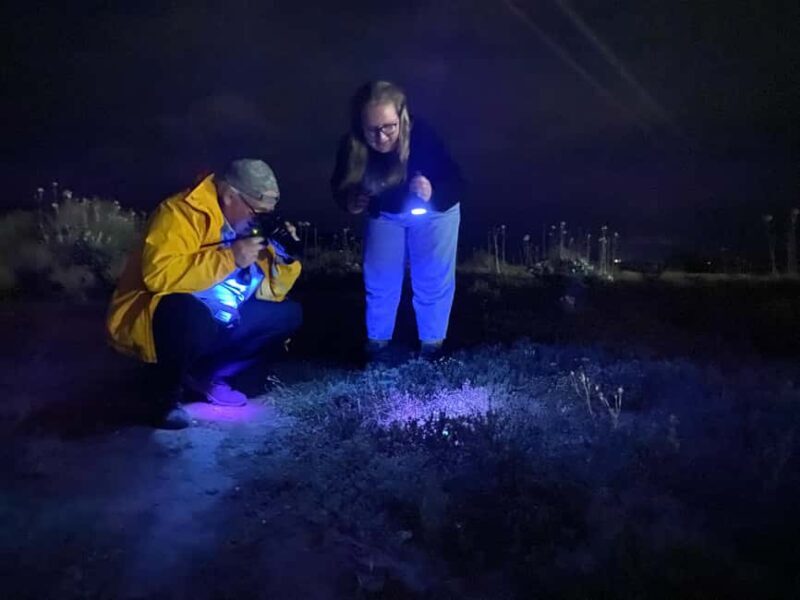 Oudtshoorn: Night Time Nature Walk - Practical Tips for Your Night Walk