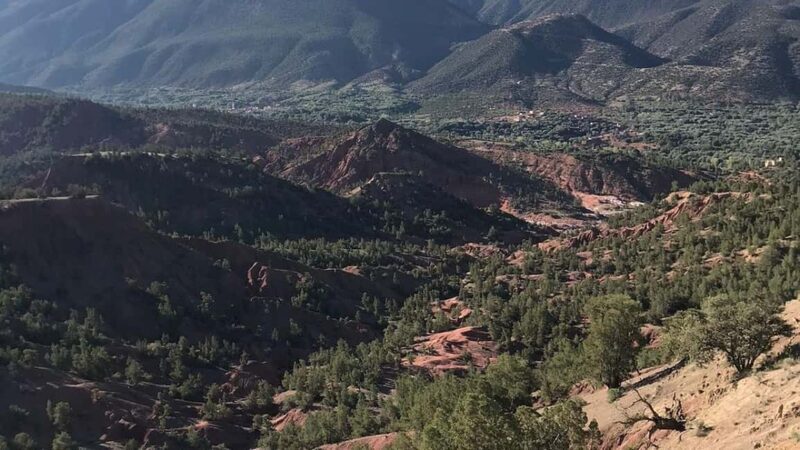Ouirgan Berber villages & Salt mine Day trip from Marrakech - Who Will Love This Tour?  