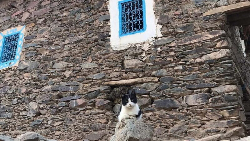 Ouirgan Berber villages & Salt mine Day trip from Marrakech - Final Thoughts  