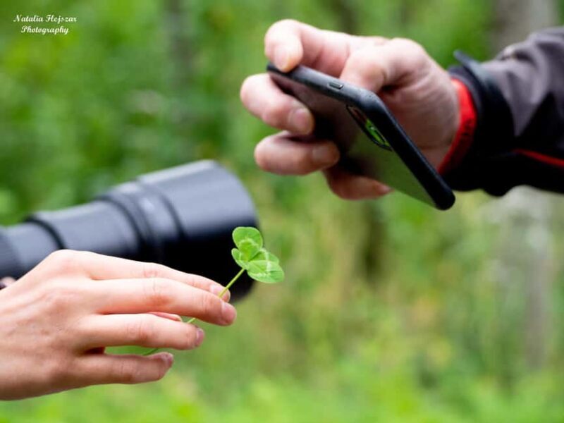 Oulu: Hietasaari Family Nature Walk with Picnic - Key Points