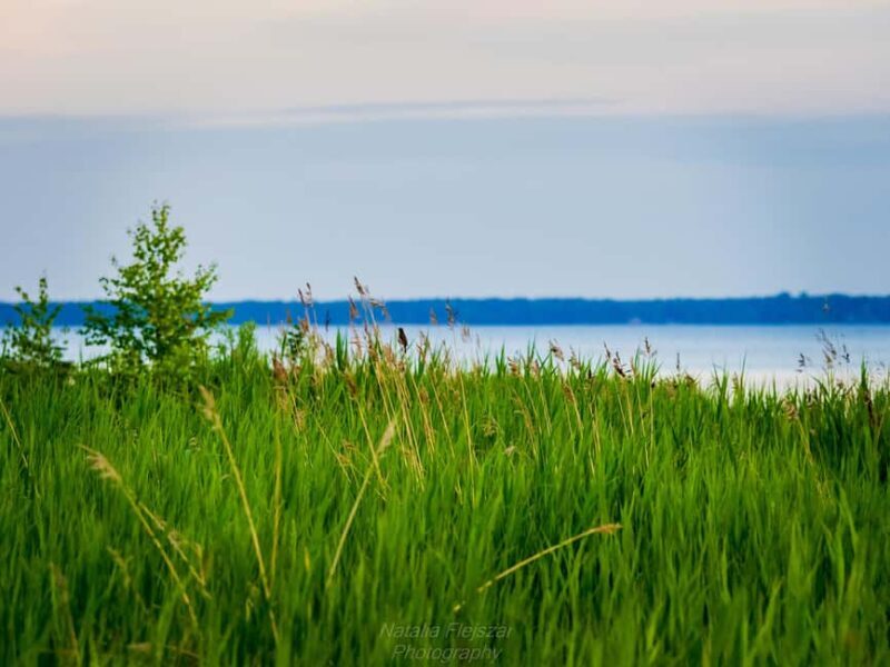 Oulu: Hietasaari Family Nature Walk with Picnic - Practical Details & Tips for Booking