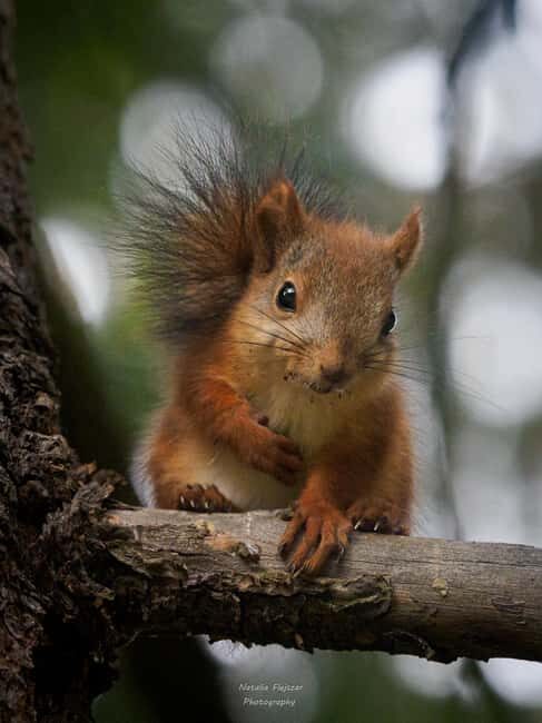 Oulu: Hietasaari Family Nature Walk with Picnic - Who Would Love This Tour?
