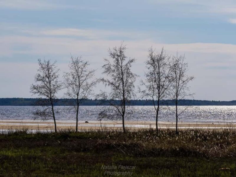 Oulu: Hietasaari Nature Tour with Local Guide - Who Will Love This Tour?