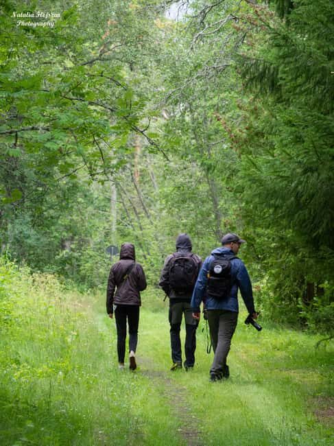 Oulu: Hietasaari Wildlife Hike with Nature Guide - Birdwatching and Wildlife