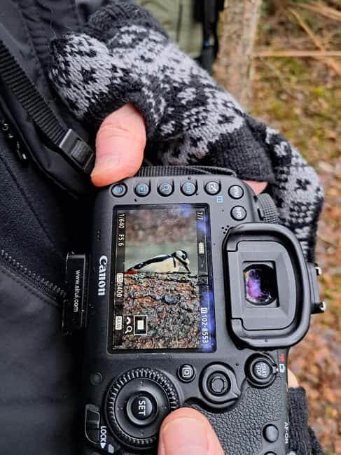 Oulu: Hietasaari Wildlife Hike with Nature Guide - Photography Opportunities
