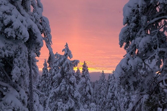 ounasvaara-and-ranua-zoo-2