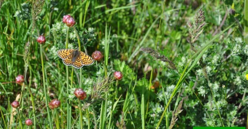 OUR FANTASTIC NATIONAL PARK! - Key Points