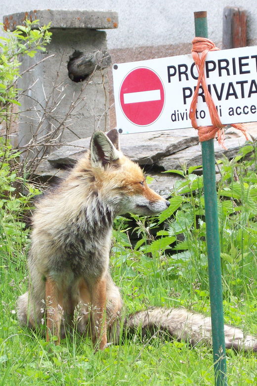 OUR FANTASTIC NATIONAL PARK! - The Practicalities: Pricing, Duration, and Accessibility