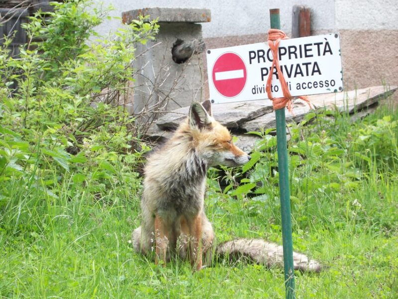 OUR FANTASTIC NATIONAL PARK! - Who Should Consider This Experience?