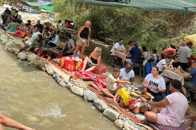 Ourika Day Trip from Marrakech Hidden Oasis and Berber Culture - Key Points